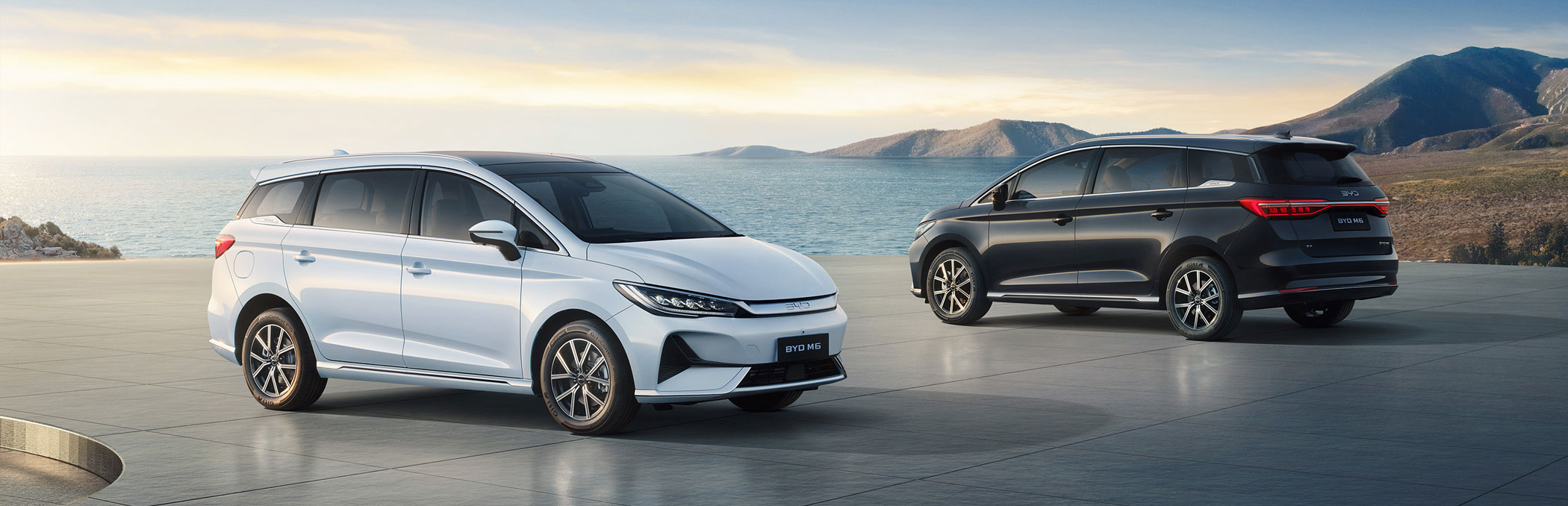 BYD M6